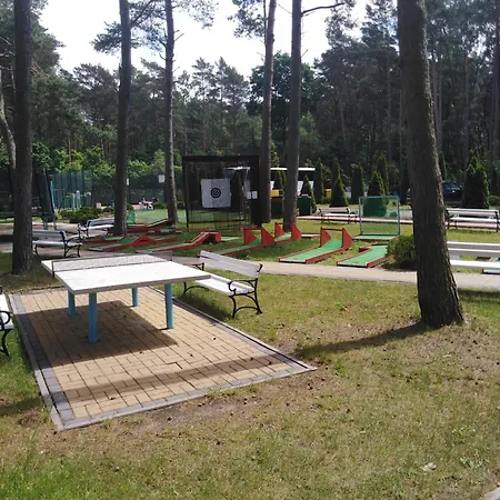 ホテル Alga Activ *