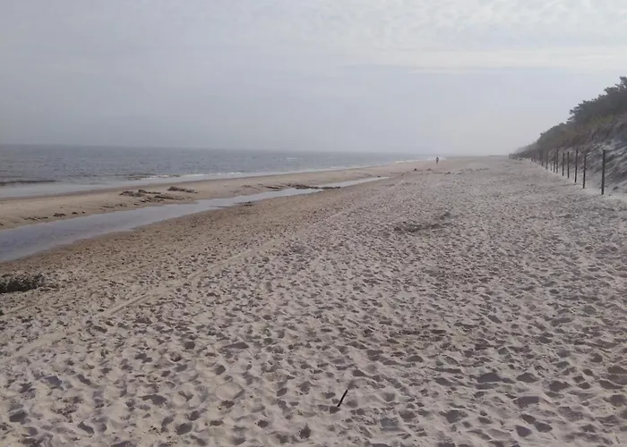 Alga Activ * Mrzeżyno